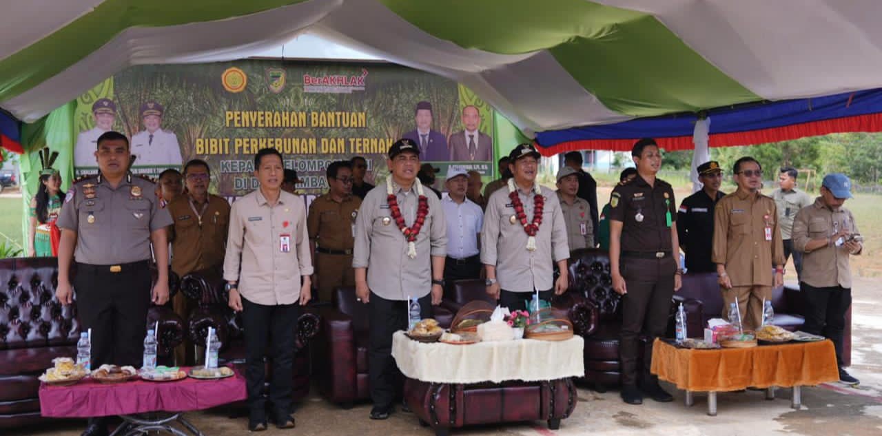 Kelompok Tani Desa Rimba Sari Dapat Bantuan Bibit Dan Ternak Dari Pemkab Barut - (Ada 0 foto)